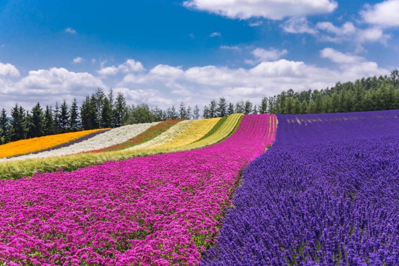 Furano View Houseヴィラ エクステリア 写真